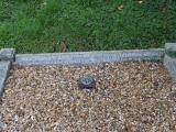 image of grave number 951545